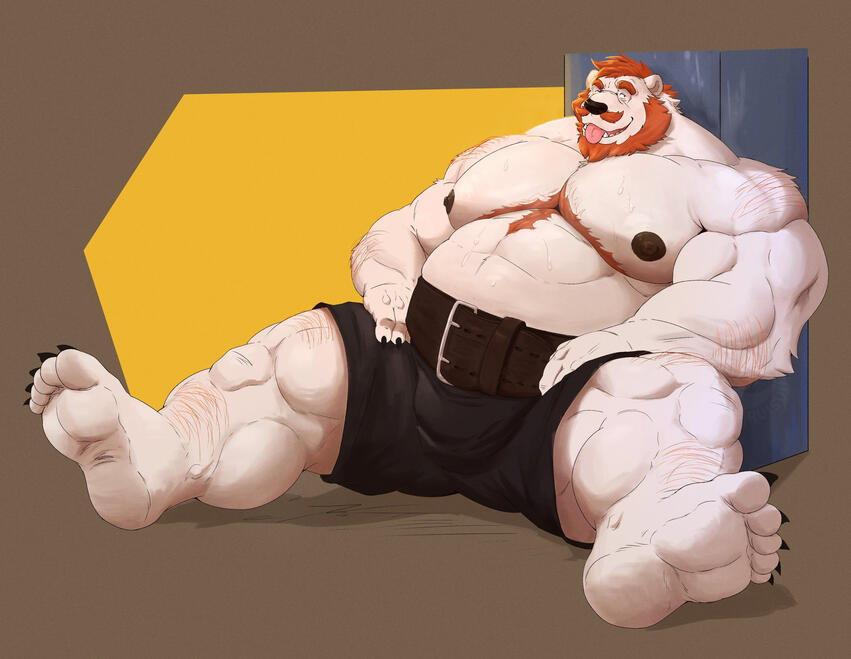 Commission #14